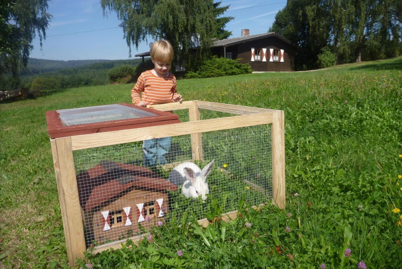 Villa Ellernhof im Spessart Stadtprozelten Zimmer foto
